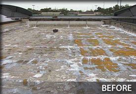 Foam - Before Photo
