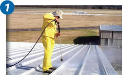 roof cleaning