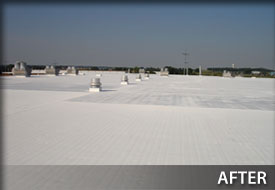 Single Ply - After Photo