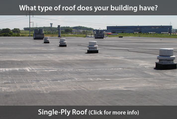Single-Ply Roof